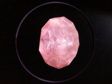 Load image into Gallery viewer, Pink Grapefruit: Recycled PET-G