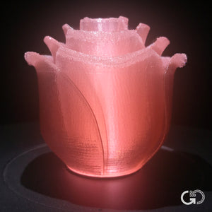 Pink Grapefruit: Recycled PET-G