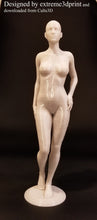 Load image into Gallery viewer, Primer Grey: Recycled PET-G