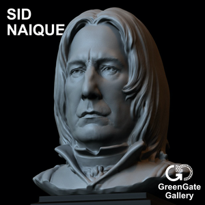 Sid Naique - Severus Snape STL + Primer Grey Recycled PET-G - GreenGate Gallery